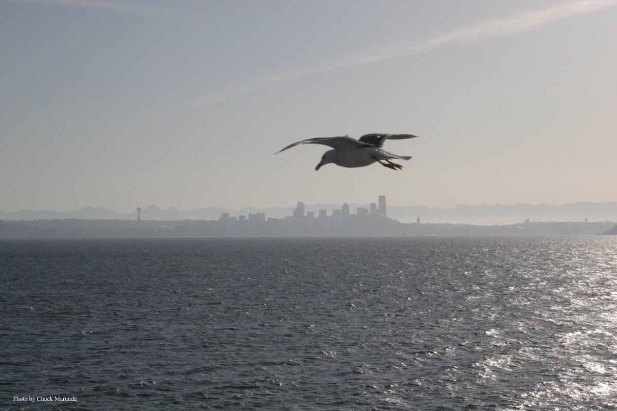 How Far is Seattle From Sequim? iRealty Virtual Brokers